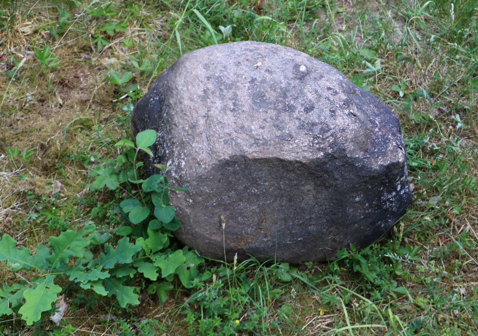 Prästavägens drängasten